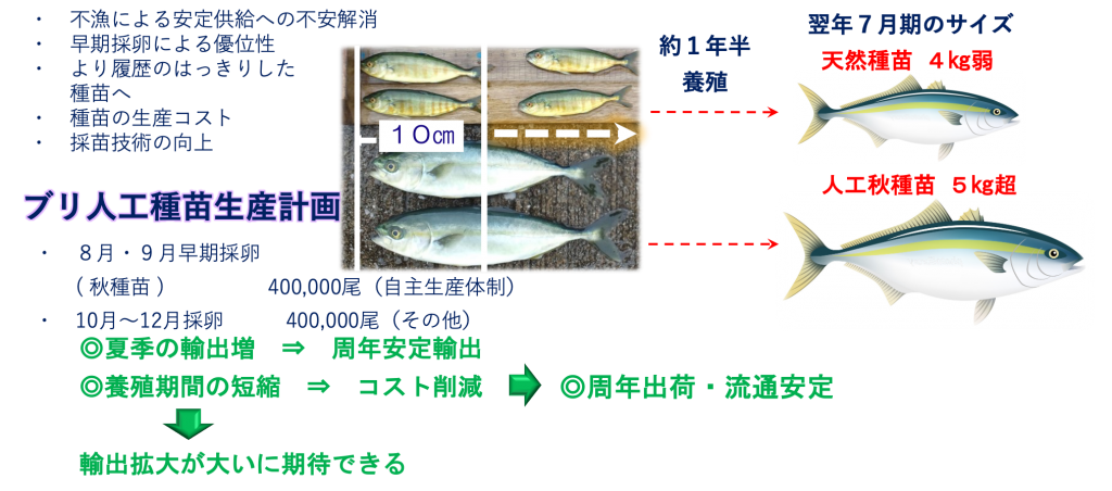 Traceability Systems 東町漁業協同組合 日本一の養殖ブリ 鰤王 ぶりおう Traceability Systems 東町漁業協同組合 日本一の養殖ブリ 鰤王 ぶりおう