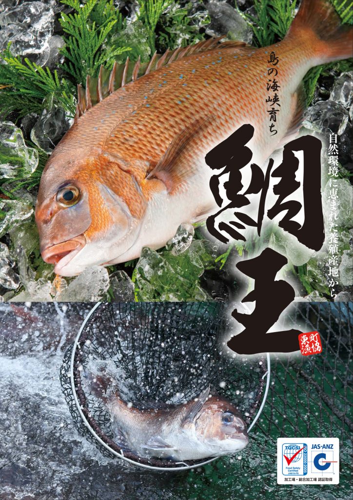 現品 ブランド養殖ぶり 鰤王 丸魚 ラウンド 頭 腹処理済